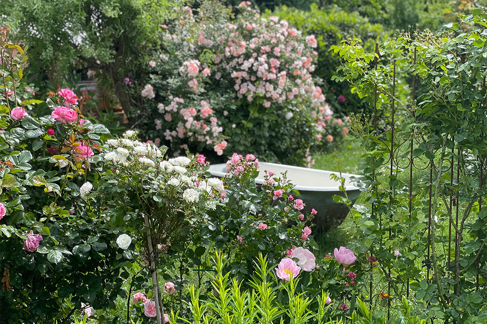 Cottagegarten